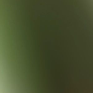 Meet your Posher, Mason